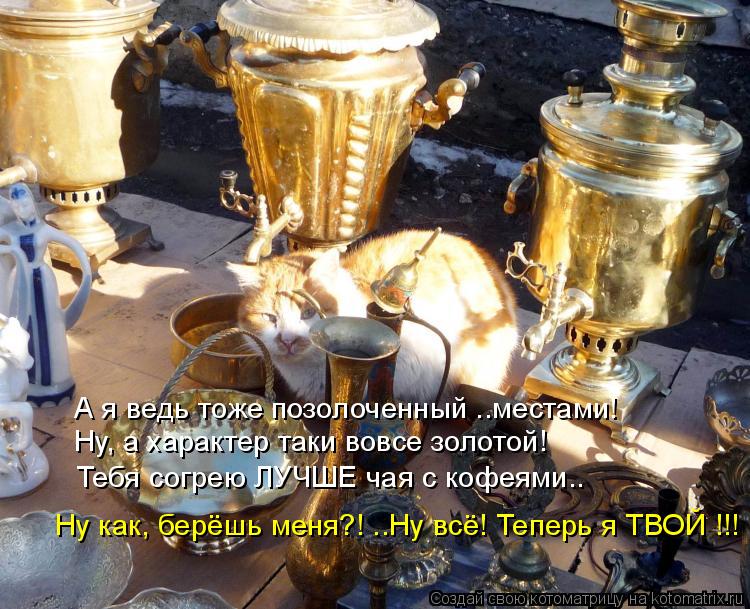 Котоматрица: А я ведь тоже позолоченный ..местами! Ну, а характер таки вовсе золотой! Тебя согрею ЛУЧШЕ чая с кофеями.. Ну как, берёшь меня?! ..Ну всё! Теперь 