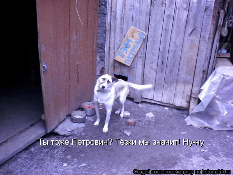 Ты тоже Петрович? Тёзки мы значит! Ну-ну.... Котоматрица: Ты тоже Петрович? Тёзки мы значит! Ну-ну.