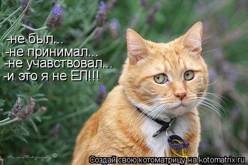 -не был... -не принимал... -не учавствовал... -и это я не ЕЛ!!!... Котоматрица: -не был... -не принимал... -не учавствовал... -и это я не ЕЛ!!!