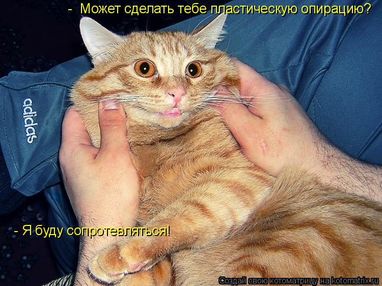 - Может сделать тебе пластическую опирацию? - Я буду сопротевляться!... Котоматрица: - Может сделать тебе пластическую опирацию? - Я буду сопротевляться!