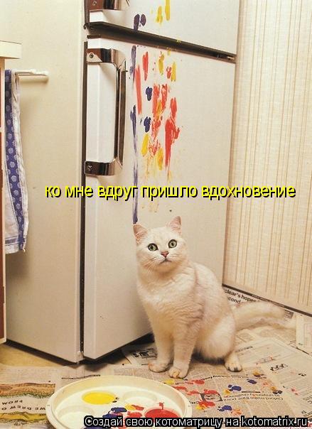 ко мне вдруг пришло вдохновение... Котоматрица: ко мне вдруг пришло вдохновение