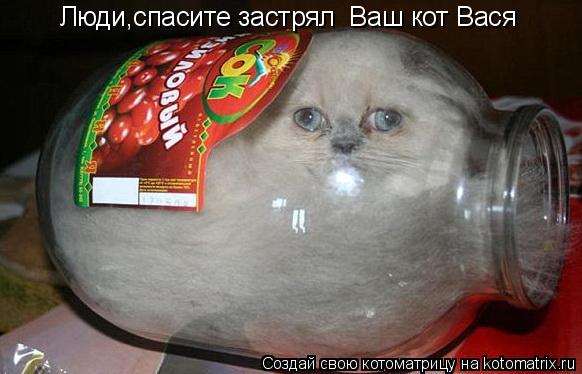 Люди,спасите застрял Ваш кот Вася... Котоматрица: Люди,спасите застрял Ваш кот Вася