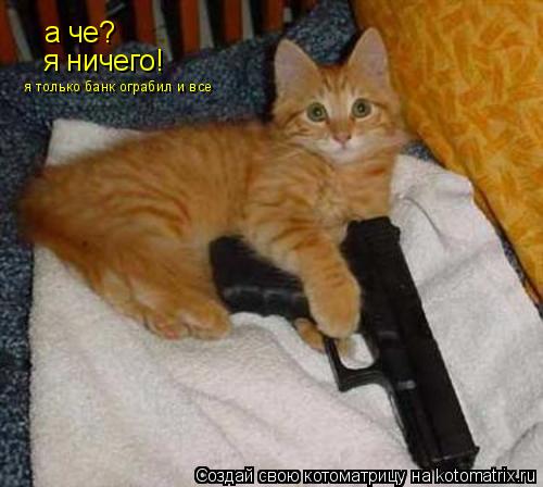 Котоматрица: а че? я ничего! я только банк ограбил и все