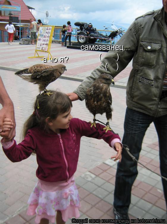 самозванец... ( ) ( ) а чо я?... Котоматрица: самозванец... ( ) ( ) а чо я?