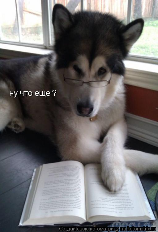 ну что еще ?... Котоматрица: ну что еще ?