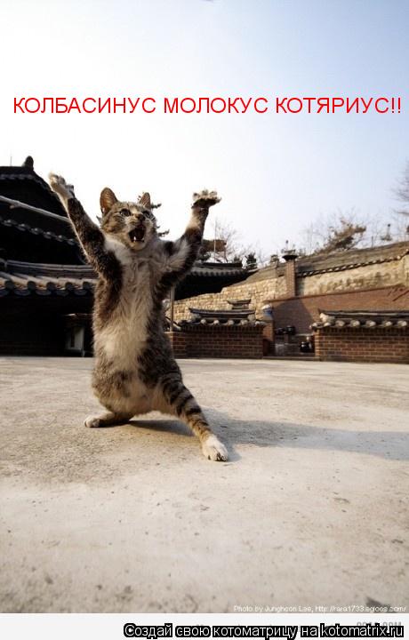КОЛБАСИНУС МОЛОКУС КОТЯРИУС!!... Котоматрица: КОЛБАСИНУС МОЛОКУС КОТЯРИУС!!