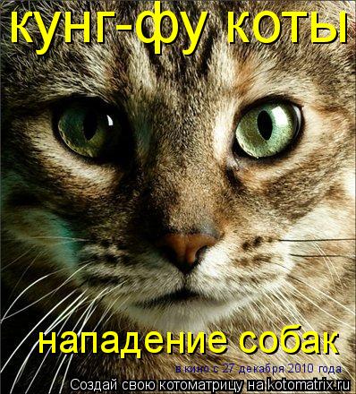 Котоматрица: кунг-фу коты  нападение собак в кино с 27 декабря 2010 года