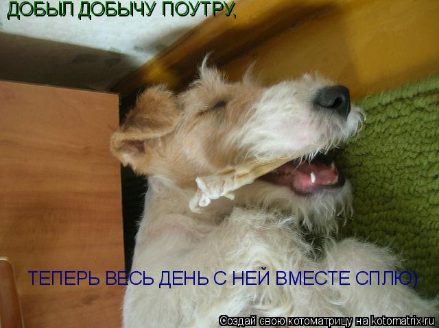 ДОБЫЛ ДОБЫЧУ ПОУТРУ, ТЕПЕРЬ ВЕСЬ ДЕНЬ С НЕЙ ВМЕСТЕ СПЛЮ)... Котоматрица: ДОБЫЛ ДОБЫЧУ ПОУТРУ, ТЕПЕРЬ ВЕСЬ ДЕНЬ С НЕЙ ВМЕСТЕ СПЛЮ)