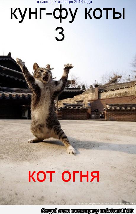 Котоматрица: кунг-фу коты 3 кот огня в кино с 27 декабря 2016 года
