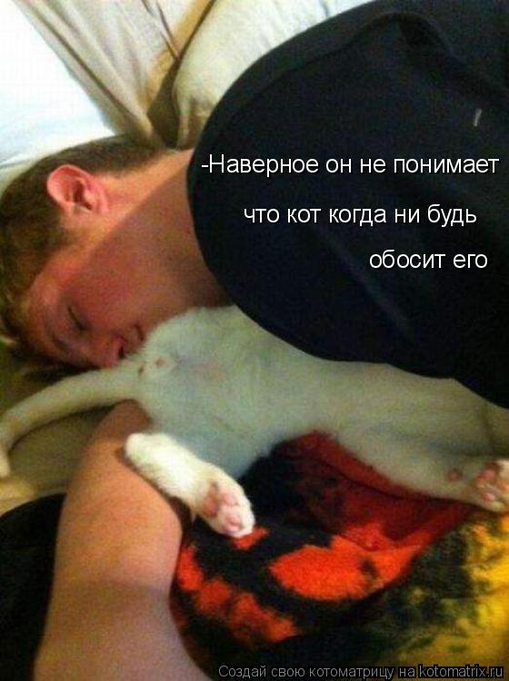 -Наверное он не понимает что кот когда ни будь обосит его... Котоматрица: -Наверное он не понимает что кот когда ни будь обосит его
