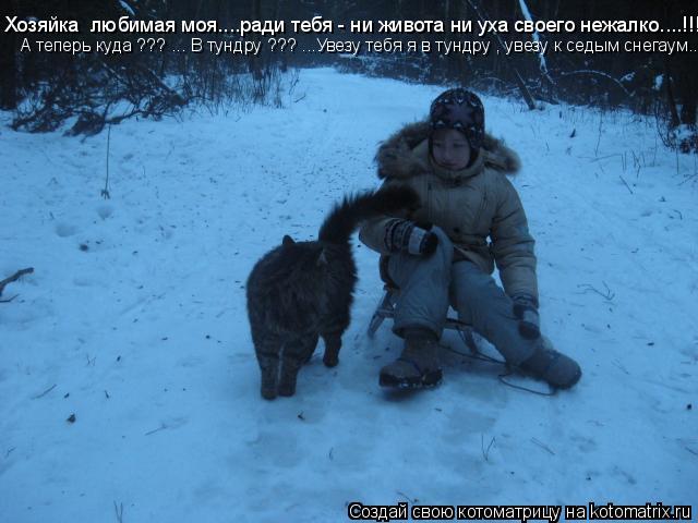 Хозяйка любимая моя....ради тебя - ни живота ни уха своего нежалко....!!!!!! А теперь куда ??? ... В... Котоматрица: Хозяйка любимая моя....ради тебя - ни живота ни уха своего нежалко....!!!!!! А теперь куда ??? ... В тундру ??? ...Увезу тебя я в тундру , увезу к се