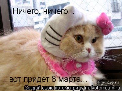 Ничего, ничего... вот придет 8 марта...... Котоматрица: Ничего, ничего... вот придет 8 марта...