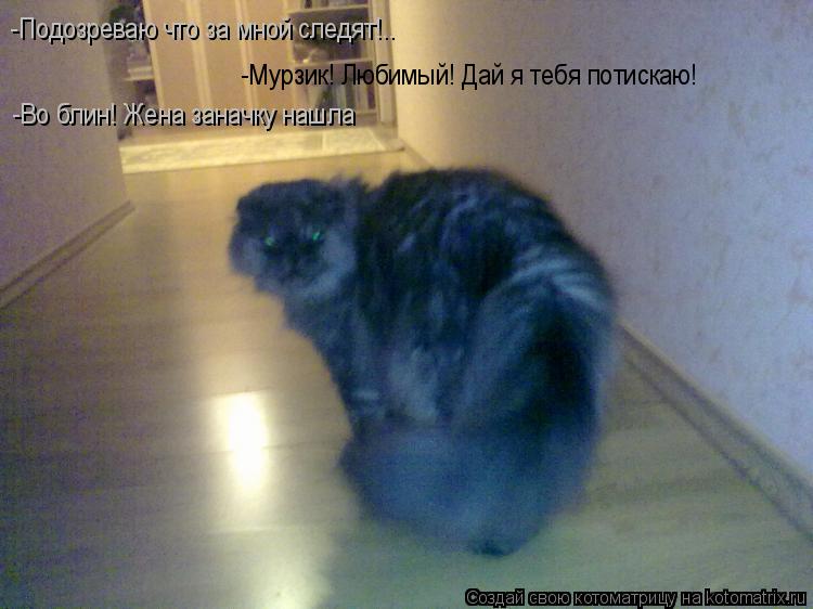 -Подозреваю что за мной следят!.. -Мурзик! Любимый! Дай я тебя потискаю! -Во блин! Жена заначку нашла... Котоматрица: -Подозреваю что за мной следят!.. -Мурзик! Любимый! Дай я тебя потискаю! -Во блин! Жена заначку нашла