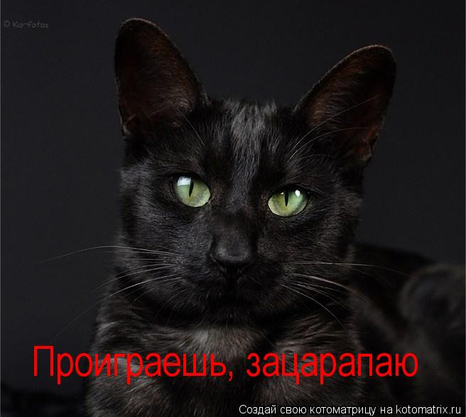 Проиграешь, зацарапаю... Котоматрица: Проиграешь, зацарапаю