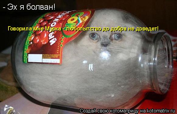- Эх я болван! Говорила мне Мурка - любопытство до добра не доведет!... Котоматрица: - Эх я болван! Говорила мне Мурка - любопытство до добра не доведет!