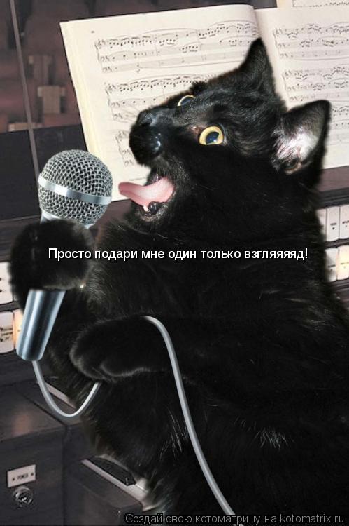 Просто подари мне один только взгляяяяд!... Котоматрица: Просто подари мне один только взгляяяяд!