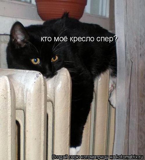 кто моё кресло спер?... Котоматрица: кто моё кресло спер?