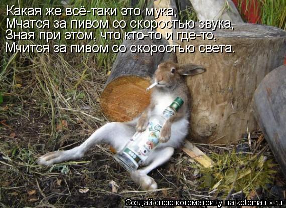 Какая же всё-таки это мука, Мчатся за пивом со скоростью звука, Зная при этом, что кто-то и где-то, М... Котоматрица: Какая же всё-таки это мука, Мчатся за пивом со скоростью звука, Зная при этом, что кто-то и где-то, Мчится за пивом со скоростью света.