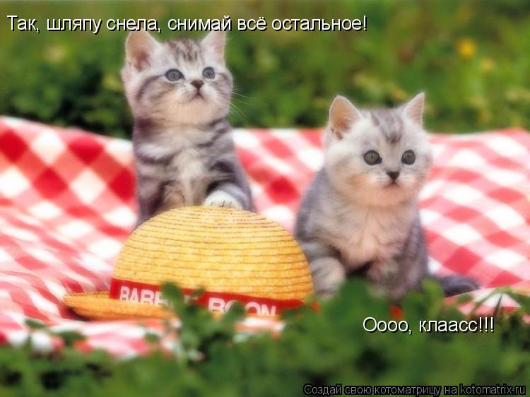Так, шляпу снела, снимай всё остальное! Оооо, клаасс!!!... Котоматрица: Так, шляпу снела, снимай всё остальное! Оооо, клаасс!!!