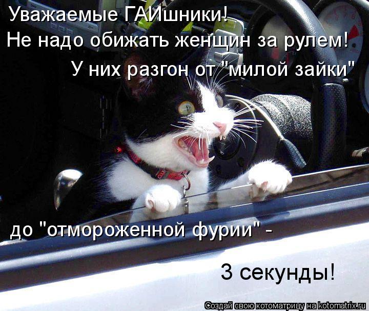 Уважаемые ГАИшники! Не надо обижать женщин за рулем! У них разгон от "милой зайки" до "отмороженной... Котоматрица: Уважаемые ГАИшники! Не надо обижать женщин за рулем! У них разгон от "милой зайки" до "отмороженной фурии" - 3 секунды!