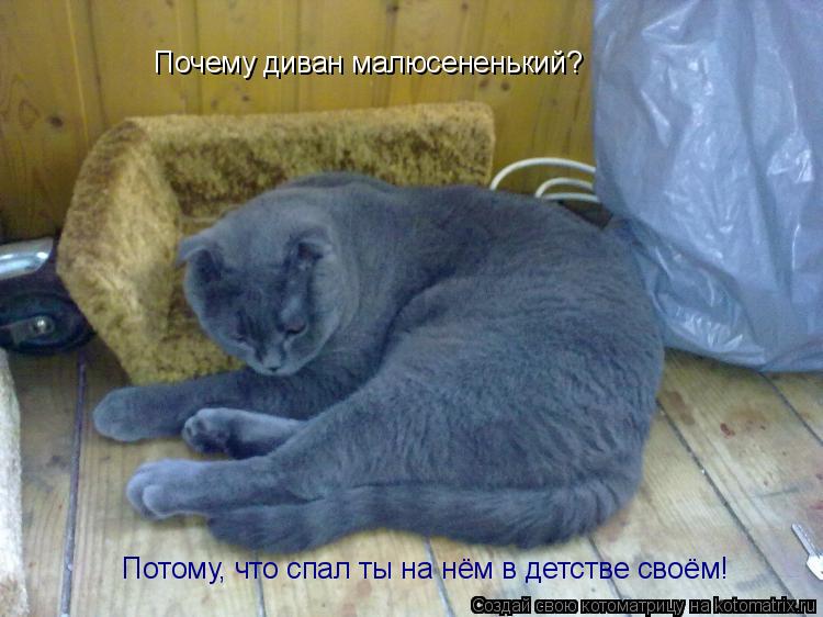 Почему диван малюсененький? Потому, что спал ты на нём в детстве своём!... Котоматрица: Почему диван малюсененький? Потому, что спал ты на нём в детстве своём!
