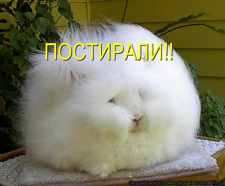 ПОСТИРАЛИ!!... Котоматрица: ПОСТИРАЛИ!!
