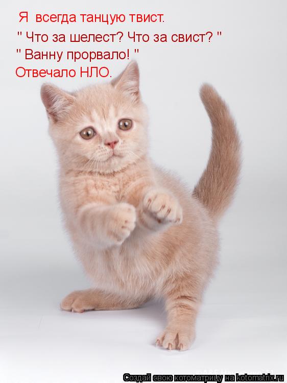 " Что за шелест? Что за свист? " " Ванну прорвало! " Отвечало НЛО. Я всегда танцую твист.... Котоматрица: " Что за шелест? Что за свист? " " Ванну прорвало! " Отвечало НЛО. Я всегда танцую твист.