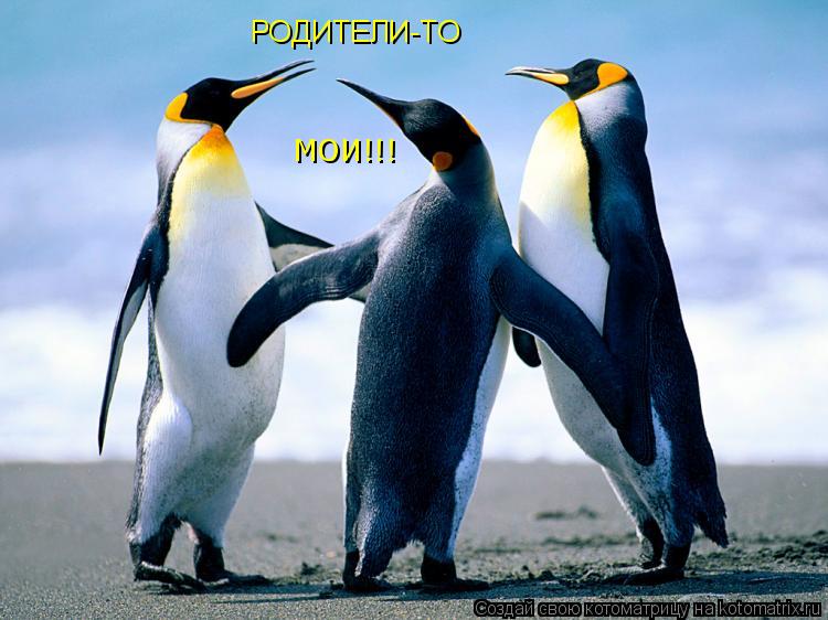 РОДИТЕЛИ-ТО МОИ!!!... Котоматрица: РОДИТЕЛИ-ТО МОИ!!!
