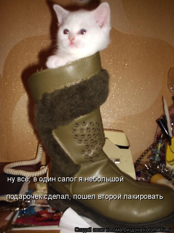 ну всё, в один сапог я небольшой подарочек сделал, пошел второй лакировать... Котоматрица: ну всё, в один сапог я небольшой подарочек сделал, пошел второй лакировать