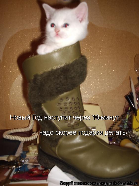 Новый Год наступит через 10 минут, надо скорее подарки делать... Котоматрица: Новый Год наступит через 10 минут, надо скорее подарки делать