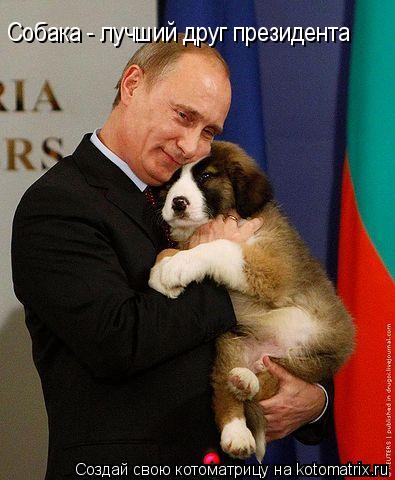 Cобака - лучший друг президента... Котоматрица: Cобака - лучший друг президента