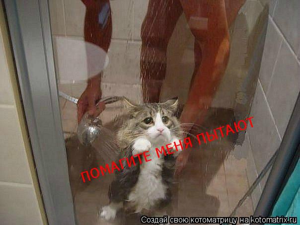 ПОМАГИТЕ МЕНЯ ПЫТАЮТ... Котоматрица: ПОМАГИТЕ МЕНЯ ПЫТАЮТ