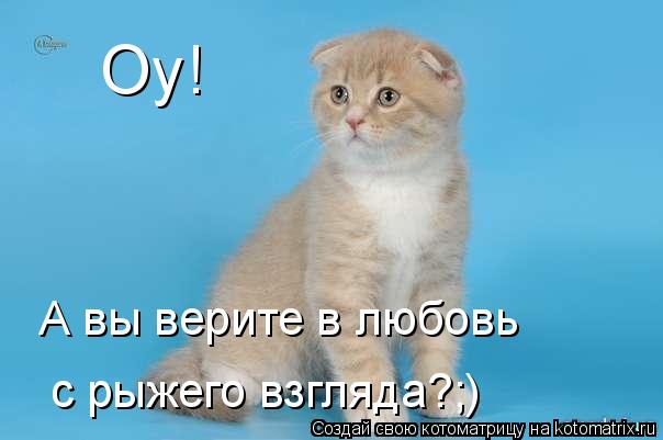 Оу! А вы верите в любовь с рыжего взгляда?;)... Котоматрица: Оу! А вы верите в любовь с рыжего взгляда?;)