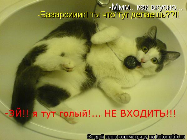 Котоматрица: -Ммм.. как вкусно... -Бааарсииик! ты что тут делаешь??!! -ЭЙ!! я тут голый!... НЕ ВХОДИТЬ!!!