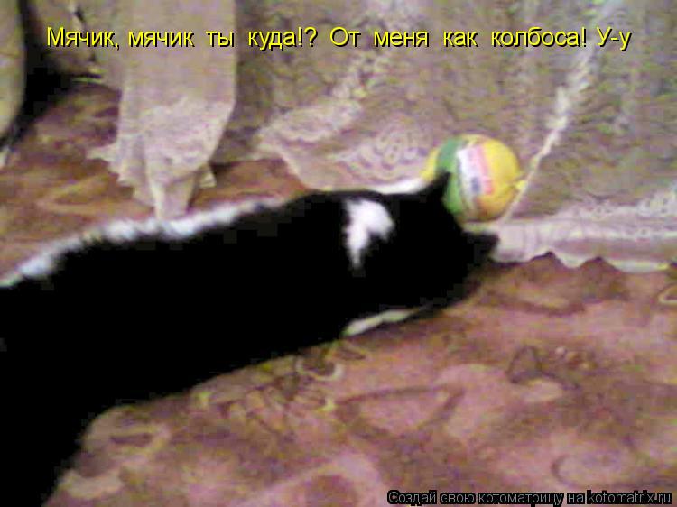 Мячик, мячик ты куда!? От меня как колбоса! У-у... Котоматрица: Мячик, мячик ты куда!? От меня как колбоса! У-у