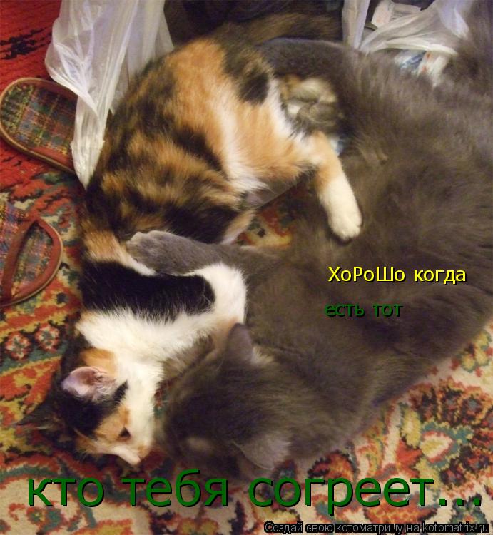 ХоРоШо когда есть тот кто тебя согреет...... Котоматрица: ХоРоШо когда есть тот кто тебя согреет...