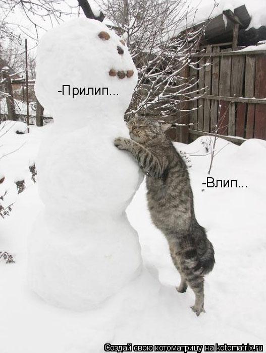 -Влип... -Прилип...... Котоматрица: -Влип... -Прилип...