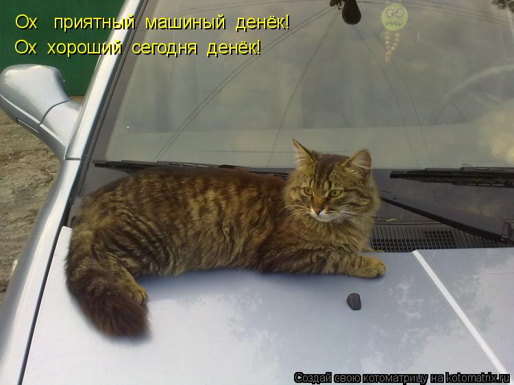 Ох приятный машиный денёк! Ох хороший сегодня денёк!... Котоматрица: Ох приятный машиный денёк! Ох хороший сегодня денёк!