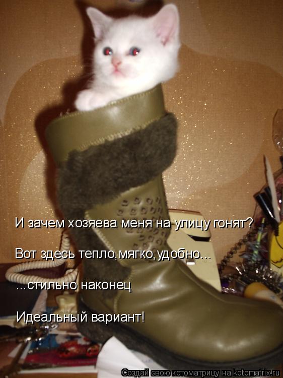 И зачем хозяева меня на улицу гонят? Вот здесь тепло,мягко,удобно... ...стильно наконец Идеальный вар... Котоматрица: И зачем хозяева меня на улицу гонят? Вот здесь тепло,мягко,удобно... ...стильно наконец Идеальный вариант!
