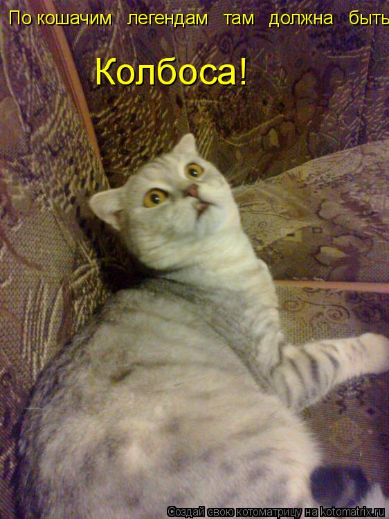 По кошачим легендам там должна быть Колбоса!... Котоматрица: По кошачим легендам там должна быть Колбоса!