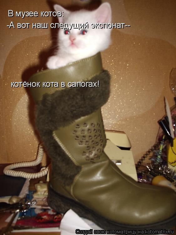 В музее котов: -А вот наш следущий экспонат-- К котёнок кота в сапогах!... Котоматрица: В музее котов: -А вот наш следущий экспонат-- К котёнок кота в сапогах!