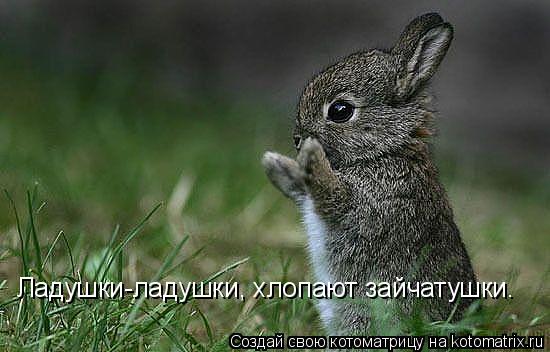 Ладушки-ладушки, хлопают зайчатушки.... Котоматрица: Ладушки-ладушки, хлопают зайчатушки.