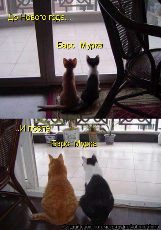 Котоматрица: До Нового года... ...И после Барс  Мурка Барс  Мурка