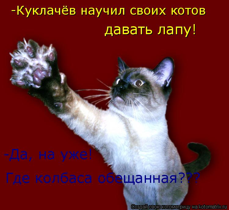 -Куклачёв научил своих котов давать лапу! -Да, на уже! Где колбаса обещанная???... Котоматрица: -Куклачёв научил своих котов давать лапу! -Да, на уже! Где колбаса обещанная???