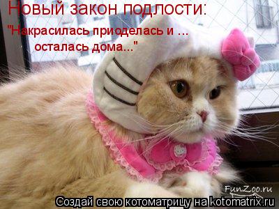 Новый закон подлости: "Накрасилась приоделась и ... осталась дома..."... Котоматрица: Новый закон подлости: "Накрасилась приоделась и ... осталась дома..."