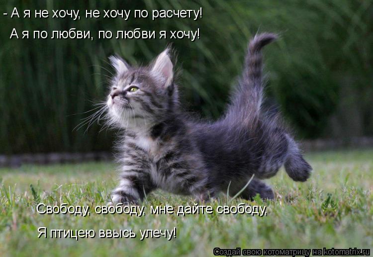- А я не хочу, не хочу по расчету! А я по любви, по любви я хочу! Свободу, свободу, мне дайте свободу... Котоматрица: - А я не хочу, не хочу по расчету! А я по любви, по любви я хочу! Свободу, свободу, мне дайте свободу, Я птицею ввысь улечу!