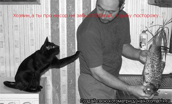 Хозяин,а ты про мусор не забыл?!Сбегай, я рыбу посторожу... Хозяин,а ты про мусор не забыл?!Сбегай, я... Котоматрица: Хозяин,а ты про мусор не забыл?!Сбегай, я рыбу посторожу... Хозяин,а ты про мусор не забыл?!Сбегай, я рыбу посторожу...