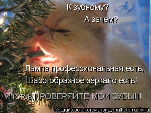 К зубному? А зачем? Лампа профессиональная,есть, Шаро-образное зеркало,есть! Я готов,ПРОВЕРЯЙТЕ МОИ З... Котоматрица: К зубному? А зачем? Лампа профессиональная,есть, Шаро-образное зеркало,есть! Я готов,ПРОВЕРЯЙТЕ МОИ ЗУБЫ!!!