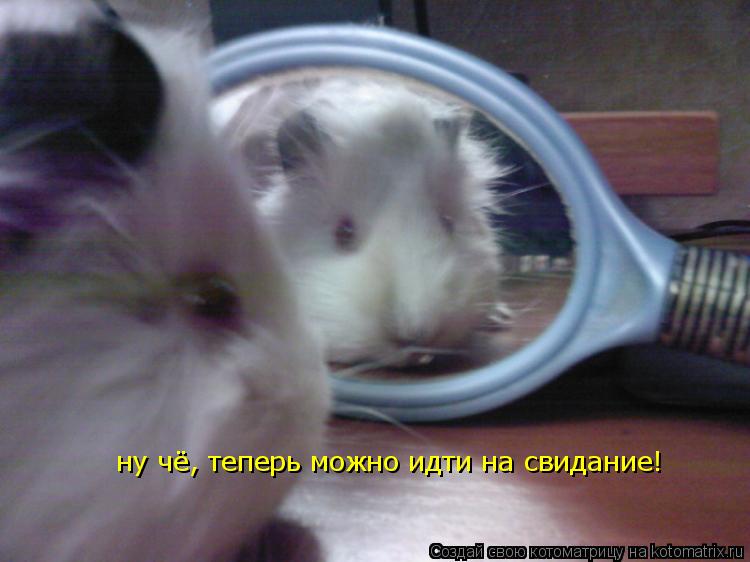 ну чё, теперь можно идти на свидание!... Котоматрица: ну чё, теперь можно идти на свидание!