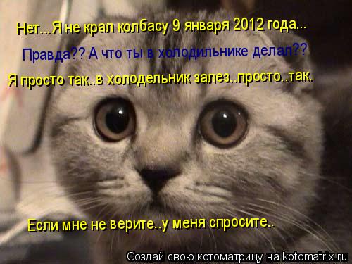 Нет...Я не крал колбасу 9 января 2012 года... Я просто так..в холодельник залез..просто..так. Если мн... Котоматрица: Нет...Я не крал колбасу 9 января 2012 года... Я просто так..в холодельник залез..просто..так. Если мне не верите..у меня спросите.. Правда?? А что ты